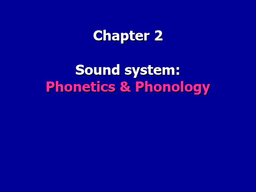 语言学_Chapter 2_Phonetics