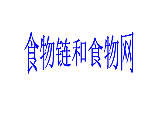 食物链和食物网课件