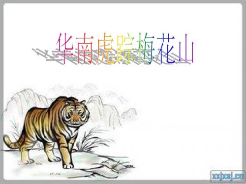 华南虎踪梅花山Microsoft PowerPoint 幻灯片