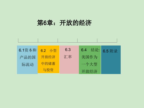 2020版曼昆版宏观经济学(第十版)课件第6章