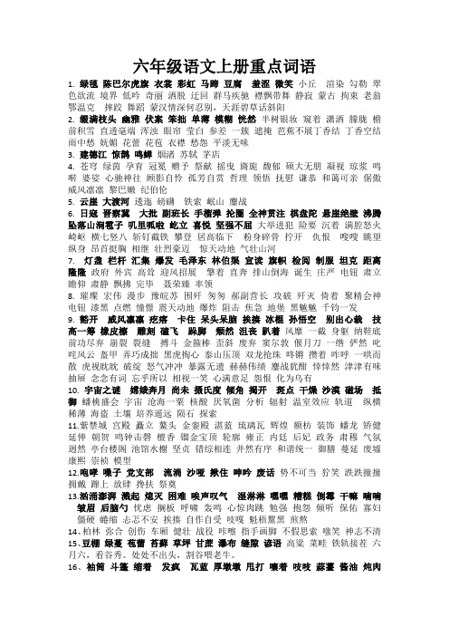 (部编版)六年级语文上册重点词语整理