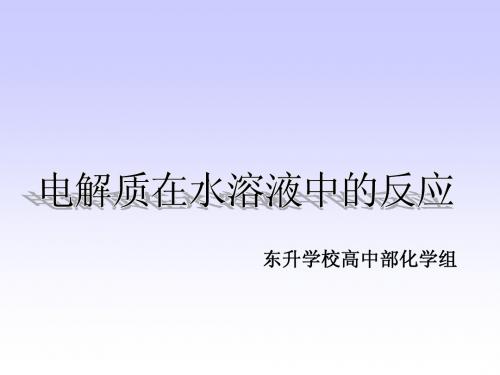 电解质在水溶液中的反应