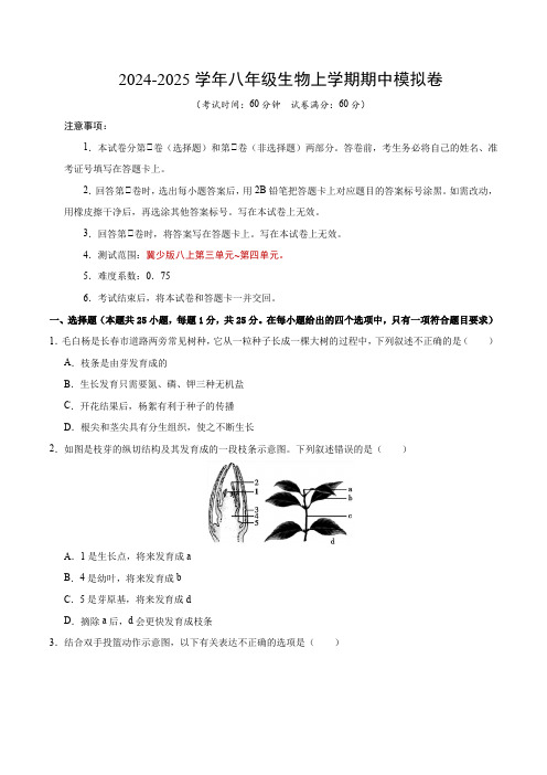 八年级生物期中模拟卷(考试版A4)(冀少版)