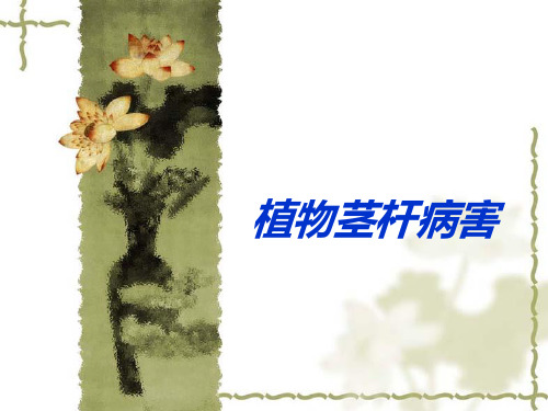植物茎杆病害及其防治方法