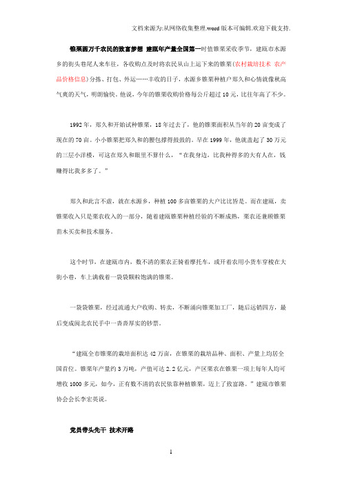 锥栗圆万千农民的致富梦想建瓯年产量全国第一时值锥栗采收季节