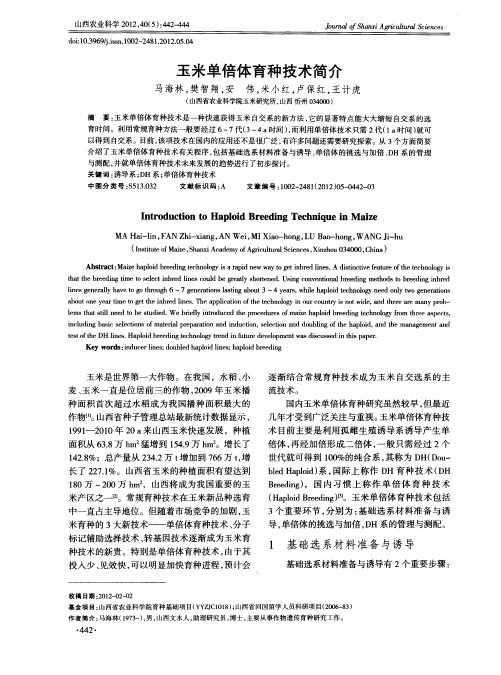 玉米单倍体育种技术简介