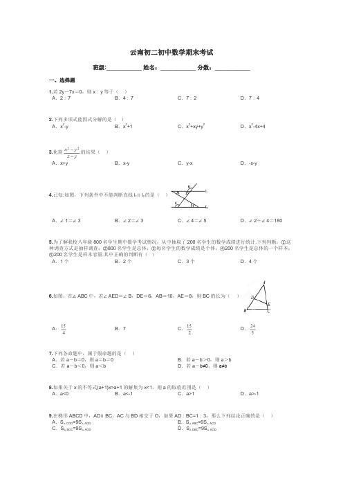 云南初二初中数学期末考试带答案解析
