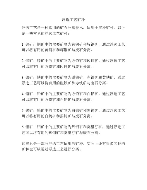 浮选工艺矿种