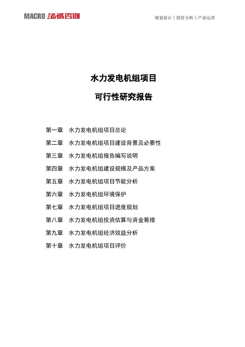 水力发电机组项目可行性研究报告