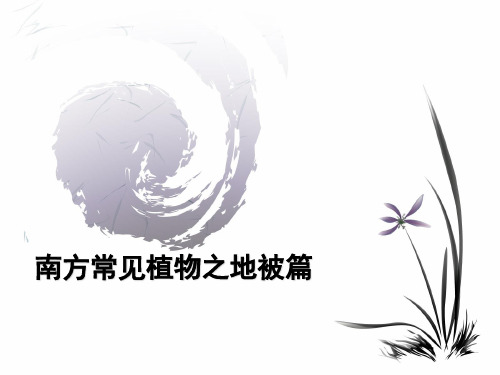 南方园林植物及园林运用