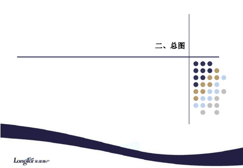 龙湖常州洪庄机场项目启动会