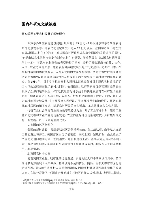 国内外研究文献综述