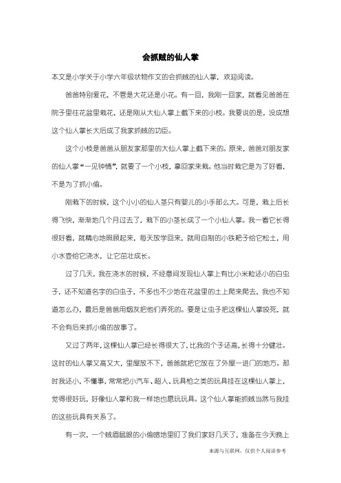 小学六年级状物作文：会抓贼的仙人掌
