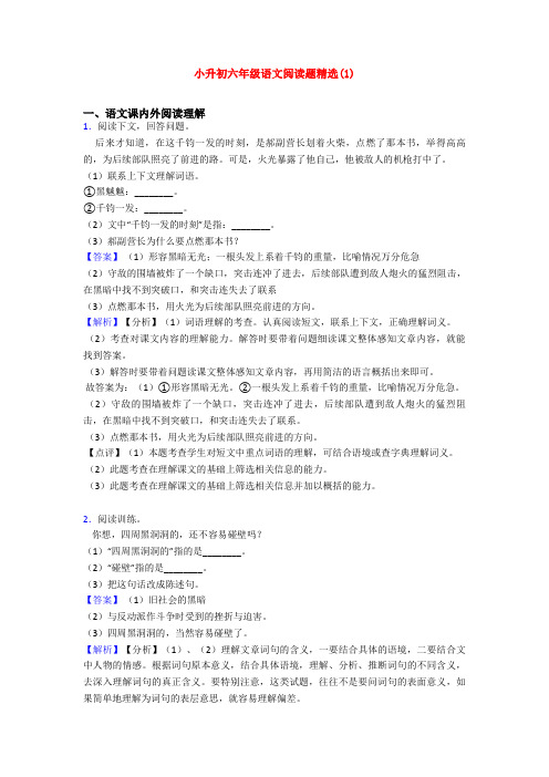 小升初六年级语文阅读题精选(1)