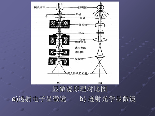 实验一透射电镜的结构和组织观察专题培训课件