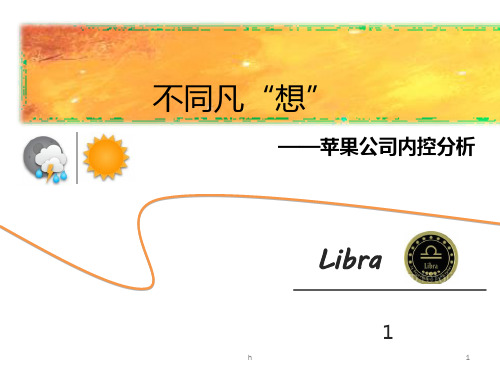 《内控分析案例》课件