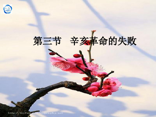 第三节辛亥革命的失败