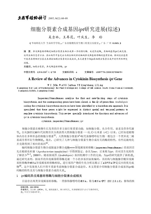 细胞分裂素合成基因ipt研究进展(综述)