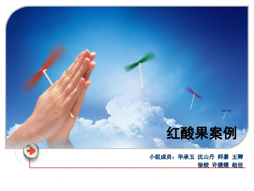 红酸果案例分析报告