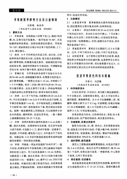 苹果树夏季修剪方法及注意事项