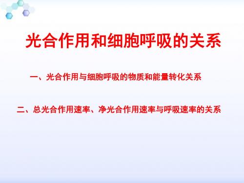 2018.3.17--细胞呼吸和光合作用的关系.