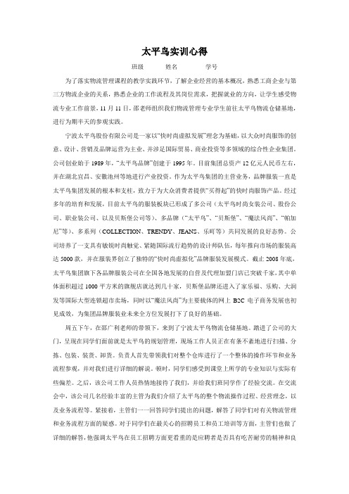 太平鸟实训心得