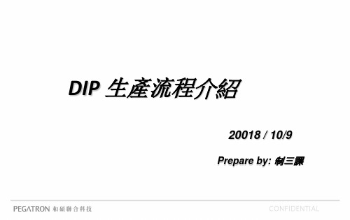 DIP生产流程