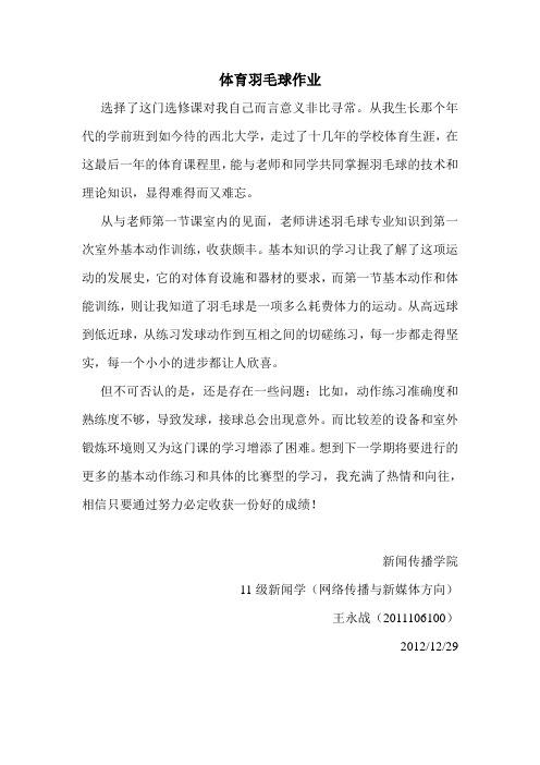 羽毛球理论作业-王永战
