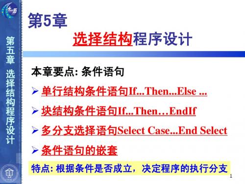 VB程序设计第3版第5章ppt