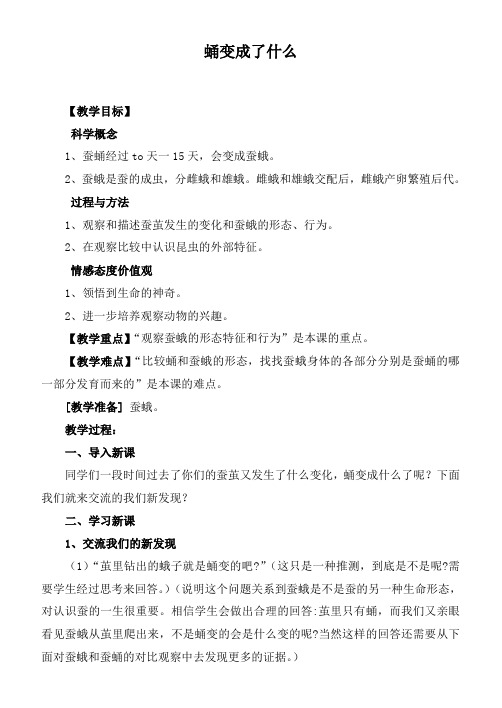 教科小学科学三下《2.4.蛹变成了什么》word教案(3)