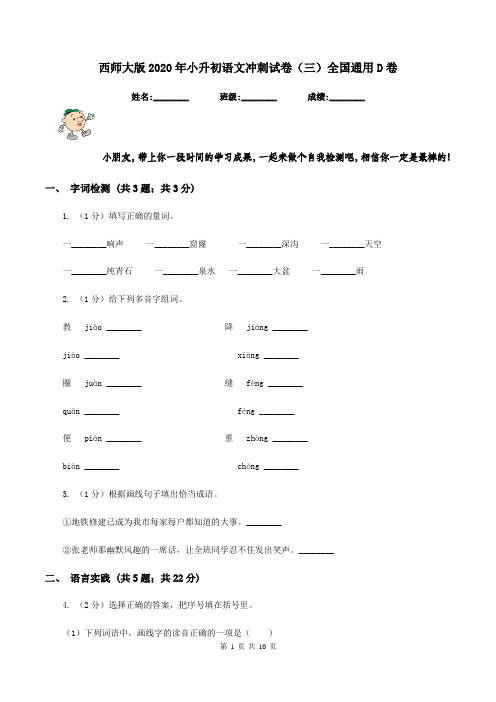 西师大版2020年小升初语文冲刺试卷(三)全国通用D卷