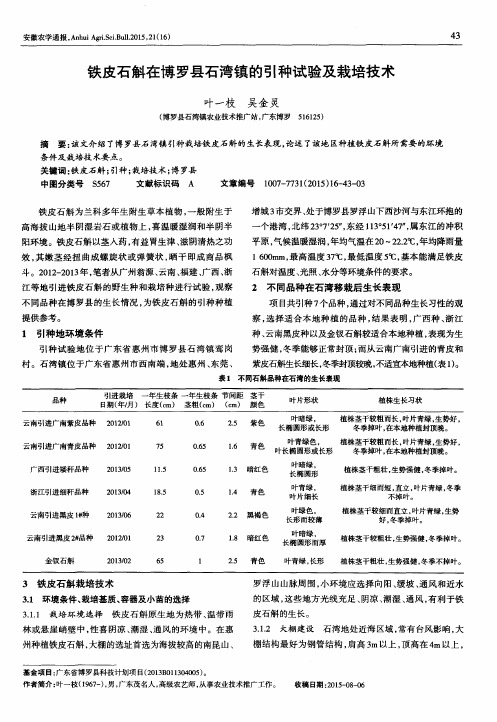铁皮石斛在博罗县石湾镇的引种试验及栽培技术