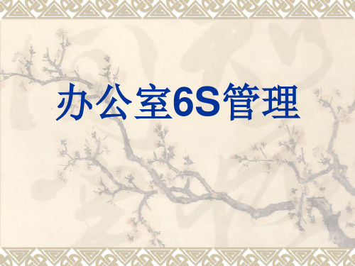 行政办公室6S管理(重要).