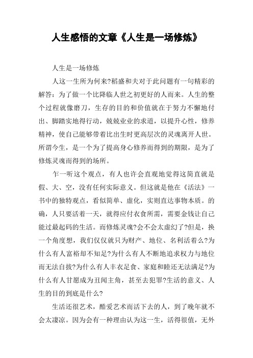 人生感悟的文章《人生是一场修炼》