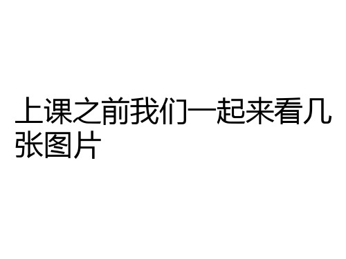 教科版小学科学四年级下册第三单元《面包发霉了》课件