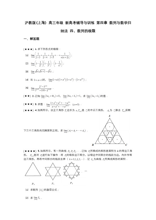 沪教版(上海) 高三年级 新高考辅导与训练 第四章 数列与数学归纳法 四、数列的极限(wd无答案)