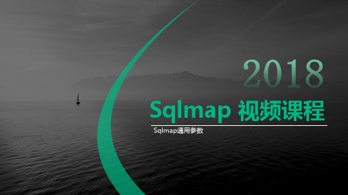 【Web攻防】第二十三节 Sqlmap通用参数