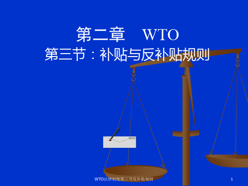 WTO法律制度第三节反补贴规则课件