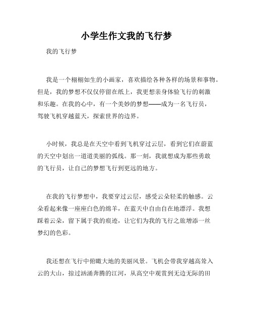 小学生作文我的飞行梦