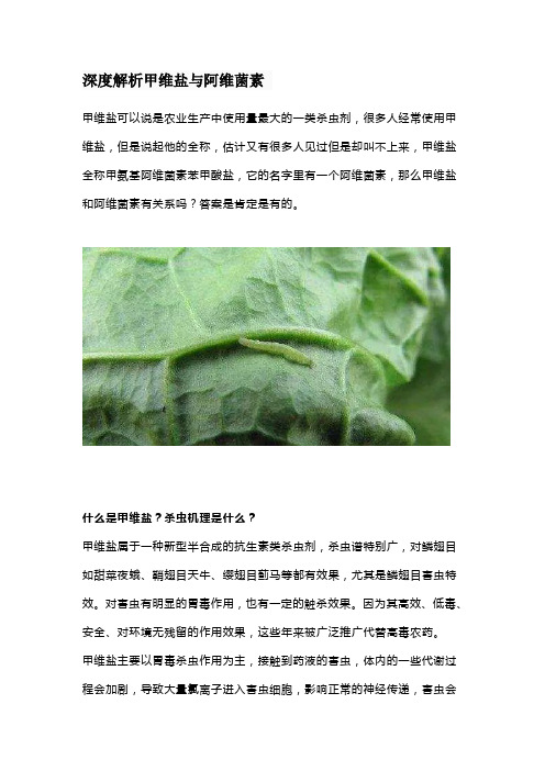 深度解析甲维盐与阿维菌素