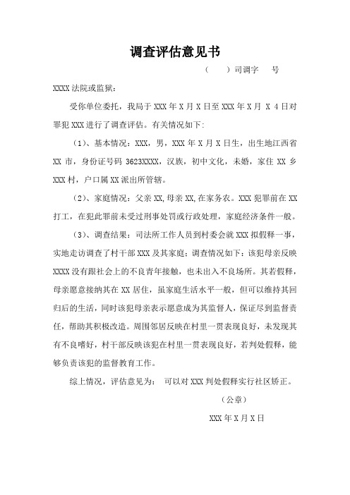 评估意见书