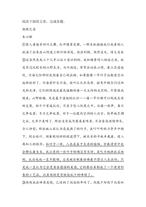 《挺拔之姿》阅读练习及答案
