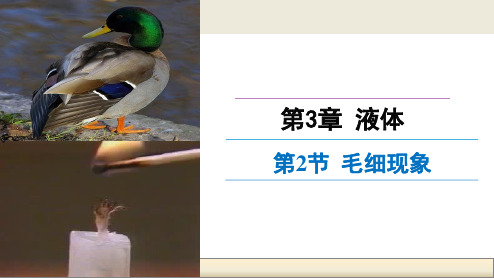 鲁科版3-3高中物理课件：3.2+3.3毛细现象+液晶