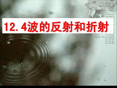 12.4波的反射和折射