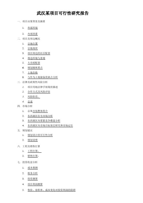 武汉某项目可行性研究报告