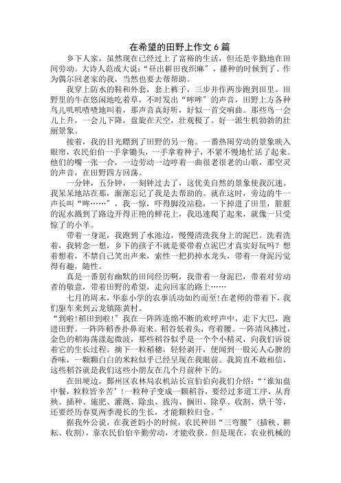 中小学精选在希望的田野上作文6篇