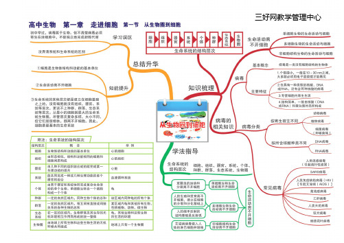 高中生物全套思维导图