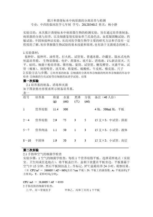 微生物实验报告2012054015杨小静