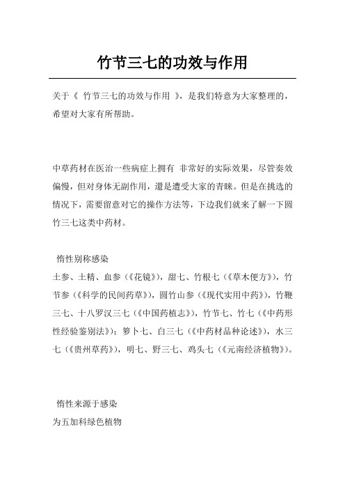 竹节三七的功效与作用