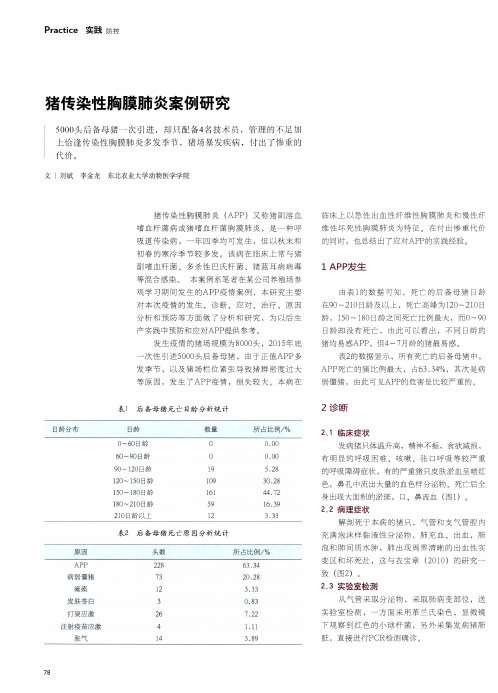 猪传染性胸膜肺炎案例研究